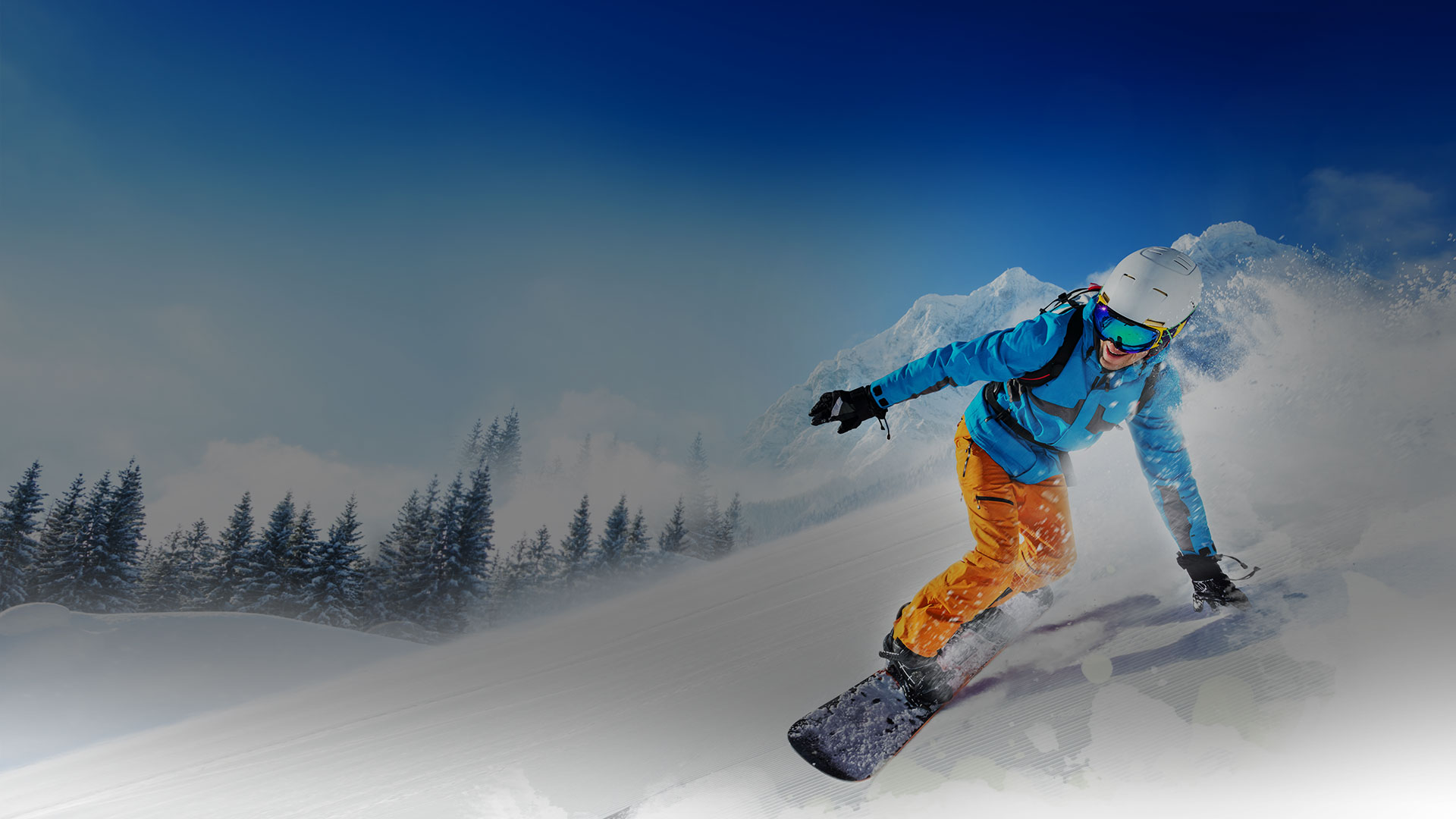 ski boot liners