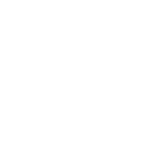 Company icon
