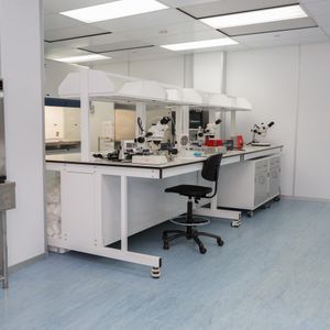 cleanroom facilities