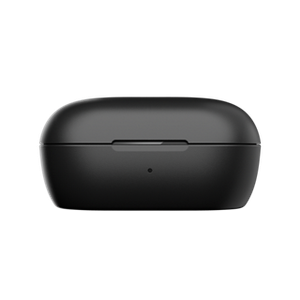 Bose QuietComfort Earbuds Charging Case