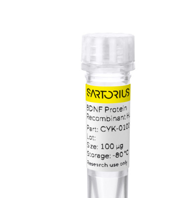 RUO Recombinant Human BDNF Protein