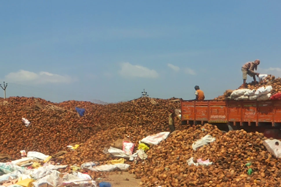 Coconut Shell Charcoal