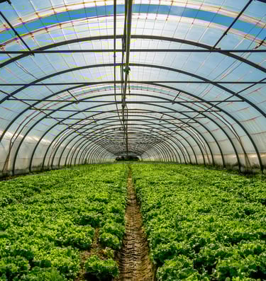 Agricultural Films (AGRI ATMOS™ Films)