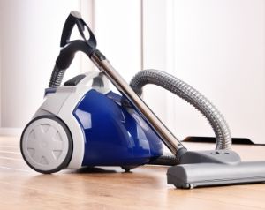 Appliance and toy motors