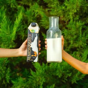 Lamar Dairy Alternative