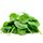 Spinach
