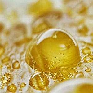 Citrus Taste Solutions