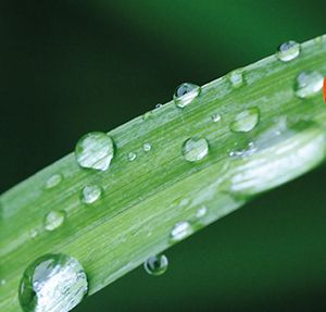 Surface Control Additives