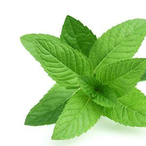Peppermint