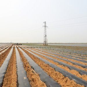Agricultural Film
