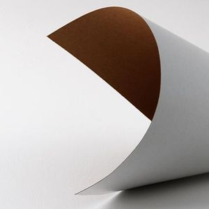 DUPLEX BOARD - GD2 BROWN BACK