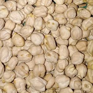 Kabuli Chickpeas Dried 8-9mm Bulk Chickpeas Sale Chickpeas Key Feature Product Category Beans Garbanzo beans Bengal gram, chhola