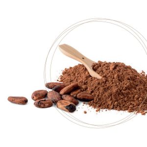 Cocoa (raw material for chocolate products)