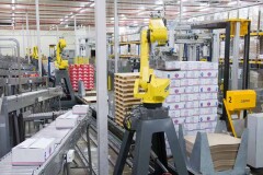 Food robot palletizer.