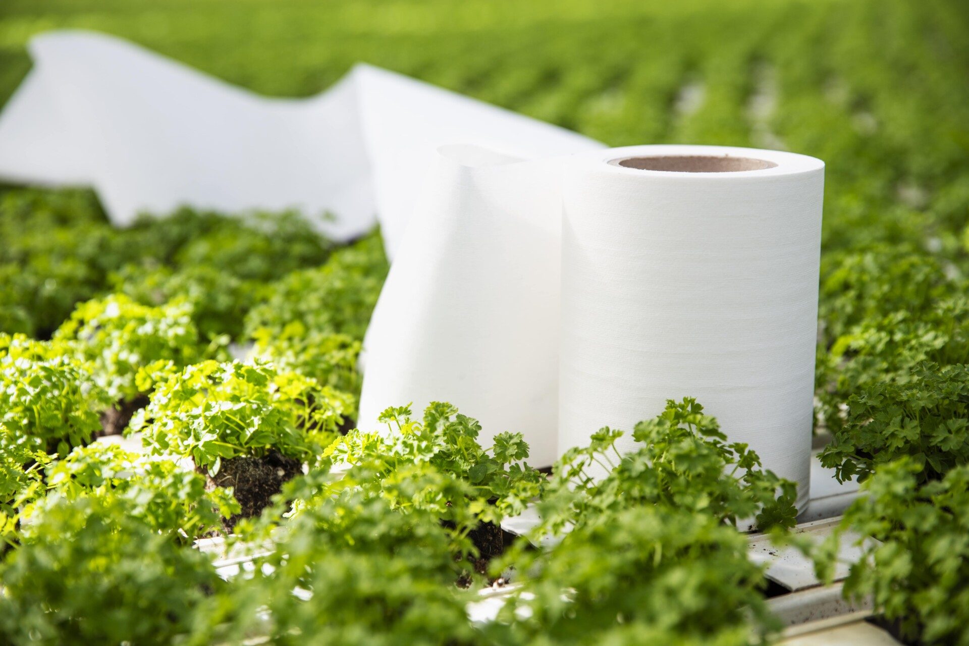 Horticultural Propagation Fabric Roll