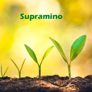 Supramino