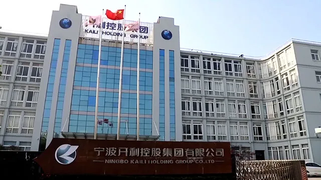 Ningbo Kaili Holding Group Co., Ltd. Electric Shaver