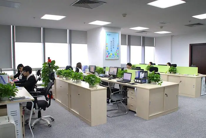 Shenzhen Caihui Trading Co., Ltd. Flip-flops