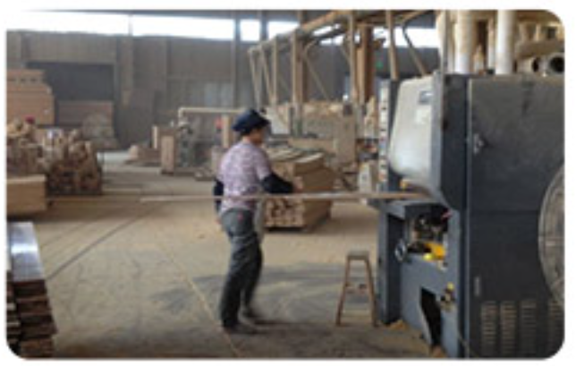 Jinjiang Jiaxing Import & Export Trade Co., Ltd. footwear
