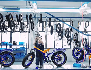 Jinhua Queene Electric Technology Co., Ltd. Electric Bicycle