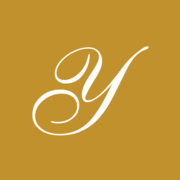 Y INTERNATIONAL logo