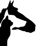 G Plus M Ltd. logo