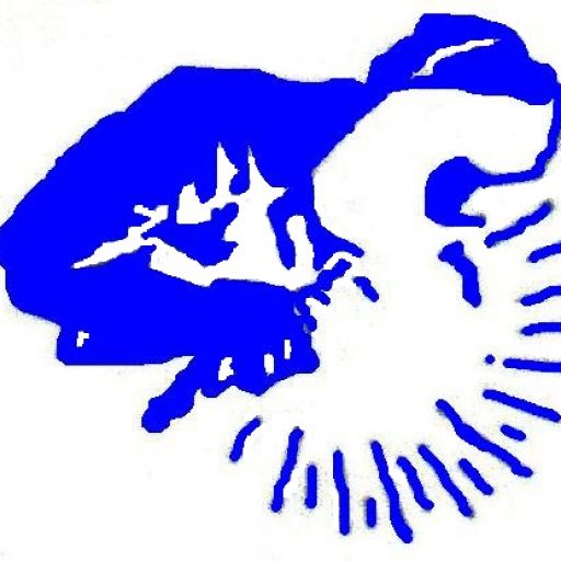 F R FLETCHER & SON LTD logo