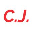 C J DIESEL INJECTION logo