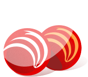 Exotic Coralindo logo