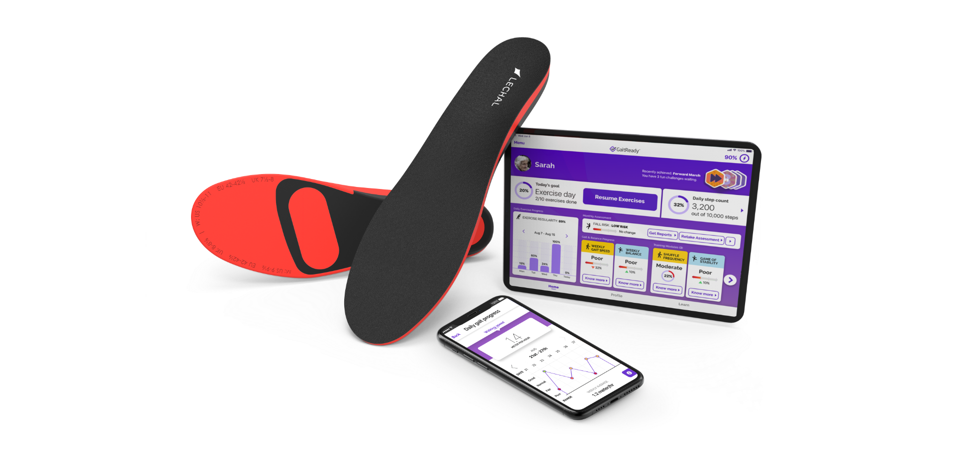 Ducere Technologies Inc. (GaitReady) Lechal Smart Insoles