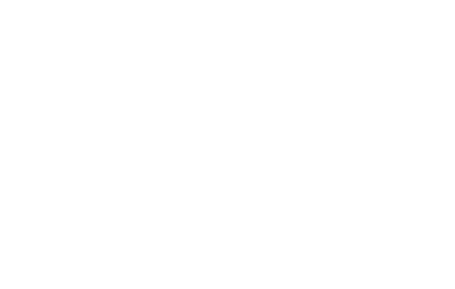 Stadium Essentials logo