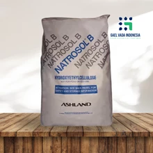 PT. GAEL VADA INDONESIA Natrosol - Bahan Kimia Industri