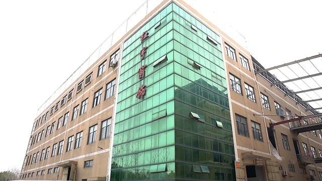 Zhejiang Muxuan Home Furnishing Co., Ltd. Zebra Blinds