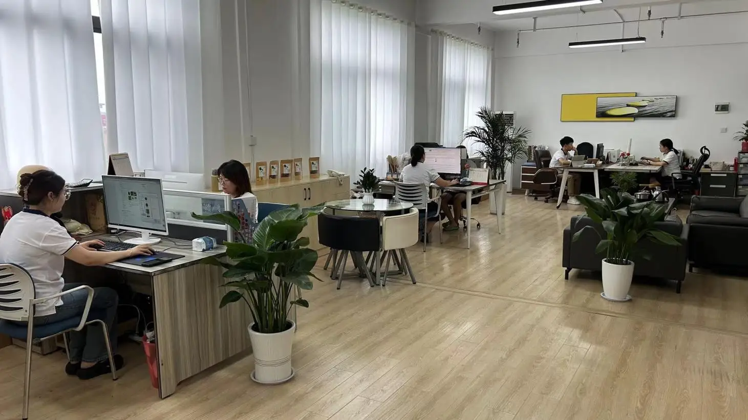 Anhui Highkey Import&Export Co., Ltd. factory image 2