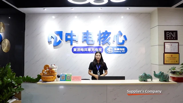 Shenzhen Zhongdianhexin Technology Co., Ltd. Shared Power Bank Station