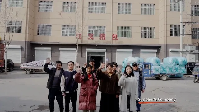 Baoding Jiangwen Leather Manufacturing Co., Ltd. Backpacks