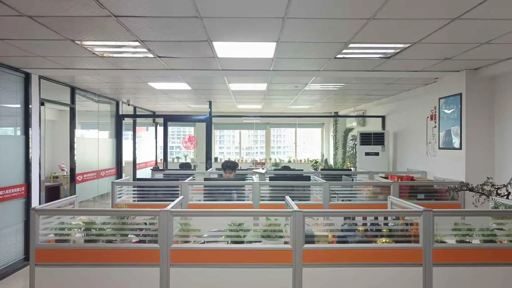 Fujian Jiulong Trading Co., Ltd. Running Shoes