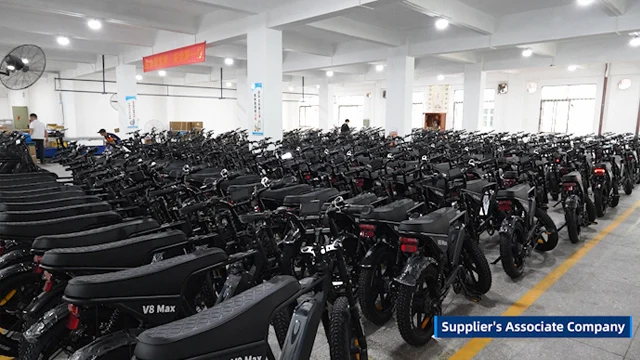 Shenzhen Weilinsen Technology Co., Ltd. Electric Bike