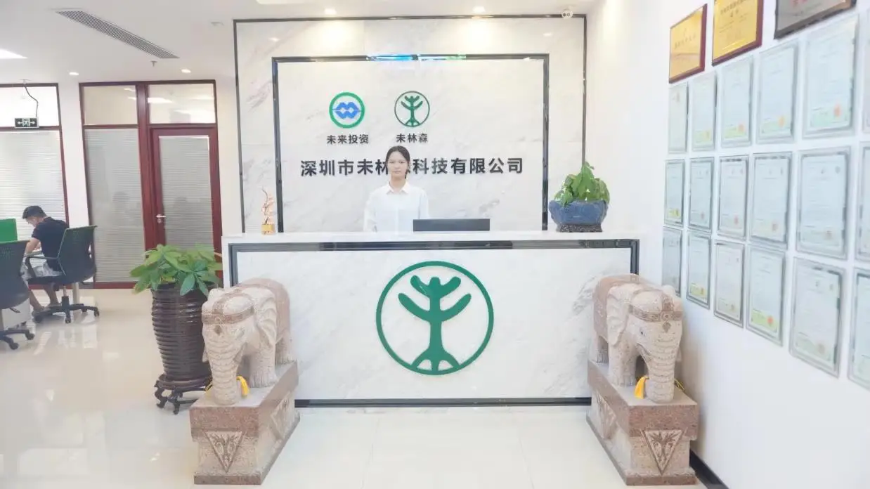 Shenzhen Weilinsen Technology Co., Ltd. Ebike