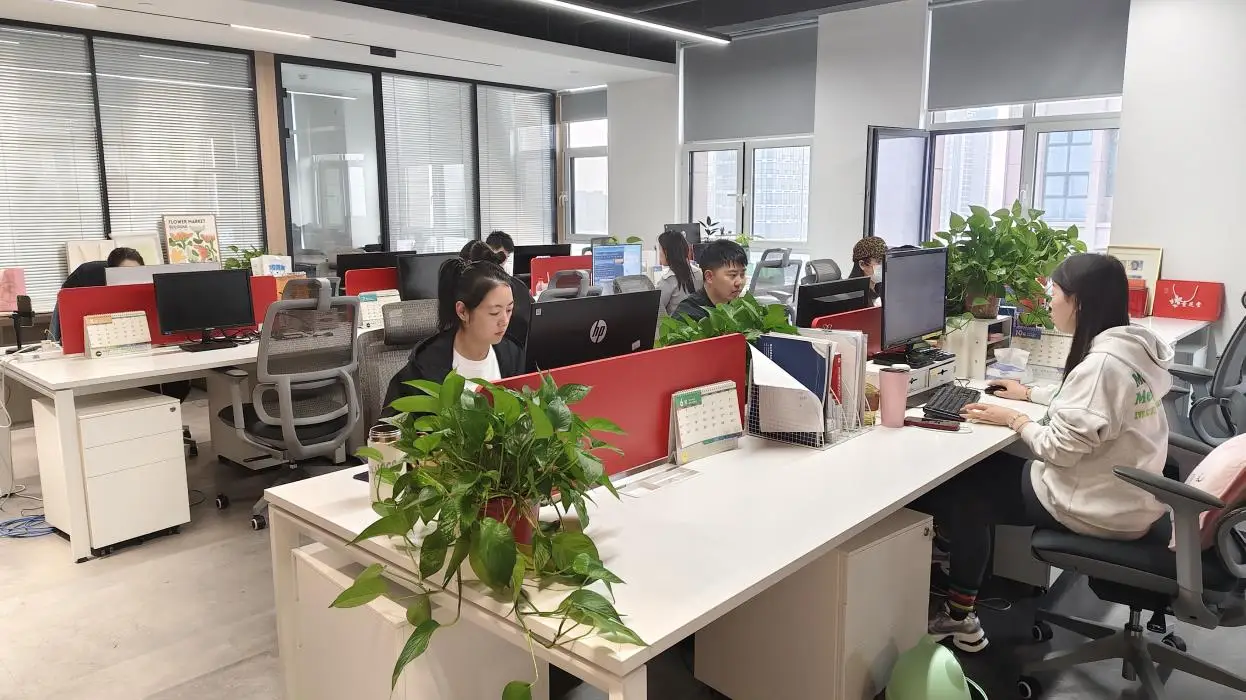 Hebei Laisinuo Import And Export Co., Ltd. felt Christmas decorations