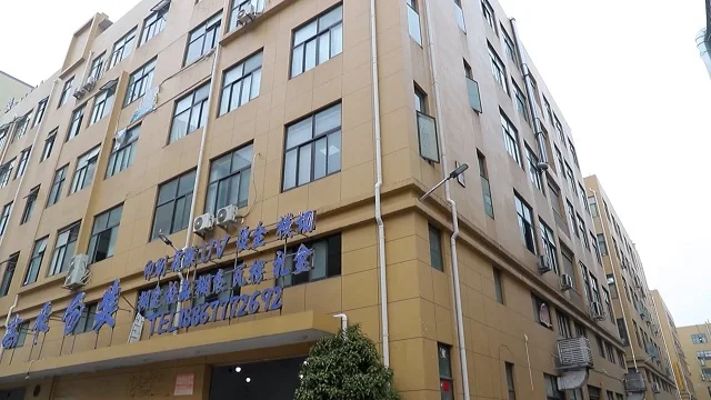 Wenzhou Gaofei Packing Co., Ltd. Paper Bag