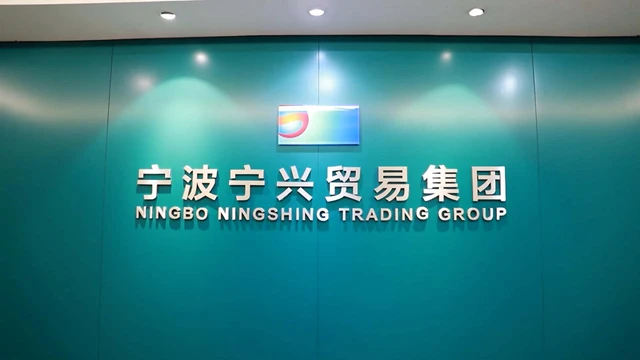 Ningbo Ningshing Trading Group Inc. factory image 1