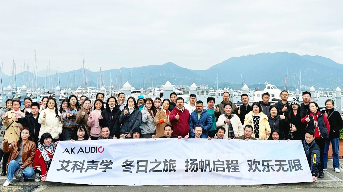 Shenzhen Akaudio Co., Limited Bluetooth Noise Cancelling Headphones