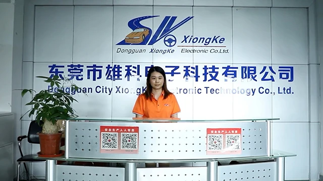 Dongguan City Xiongke Electronic Technology Co., Ltd. Automotive LED lights