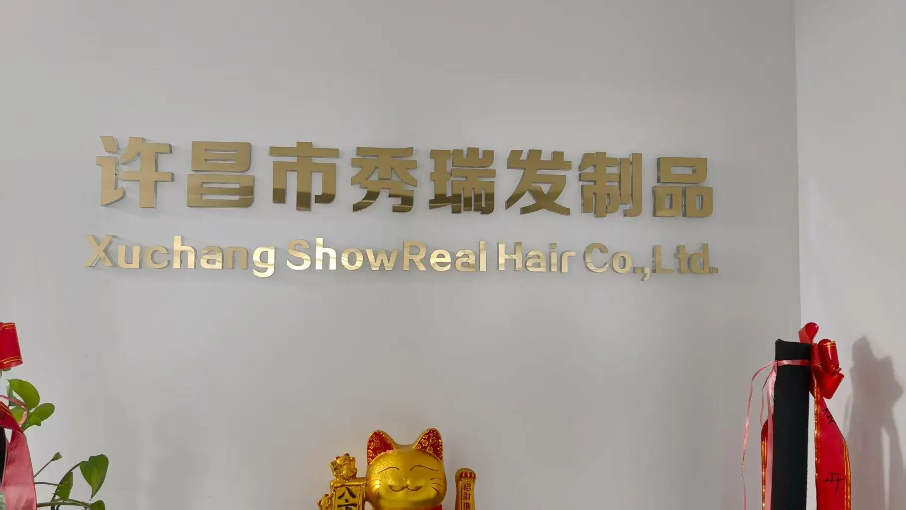 Xuchang Showreal Hair Products Co., Ltd. HD Lace Wig