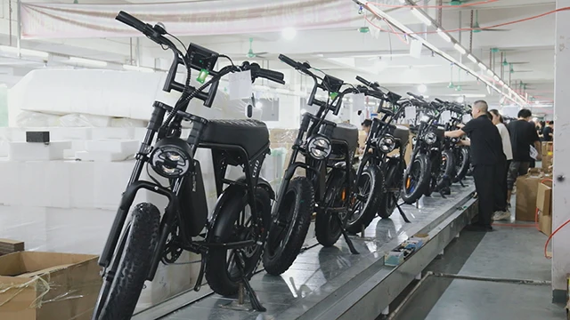 Huizhou Huasheng Vehicle Industry Co., Ltd. Electric Bike