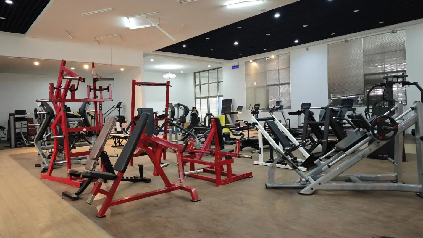 Shandong Zenbon Fitness Equipment Co., Ltd. Elliptical Machines