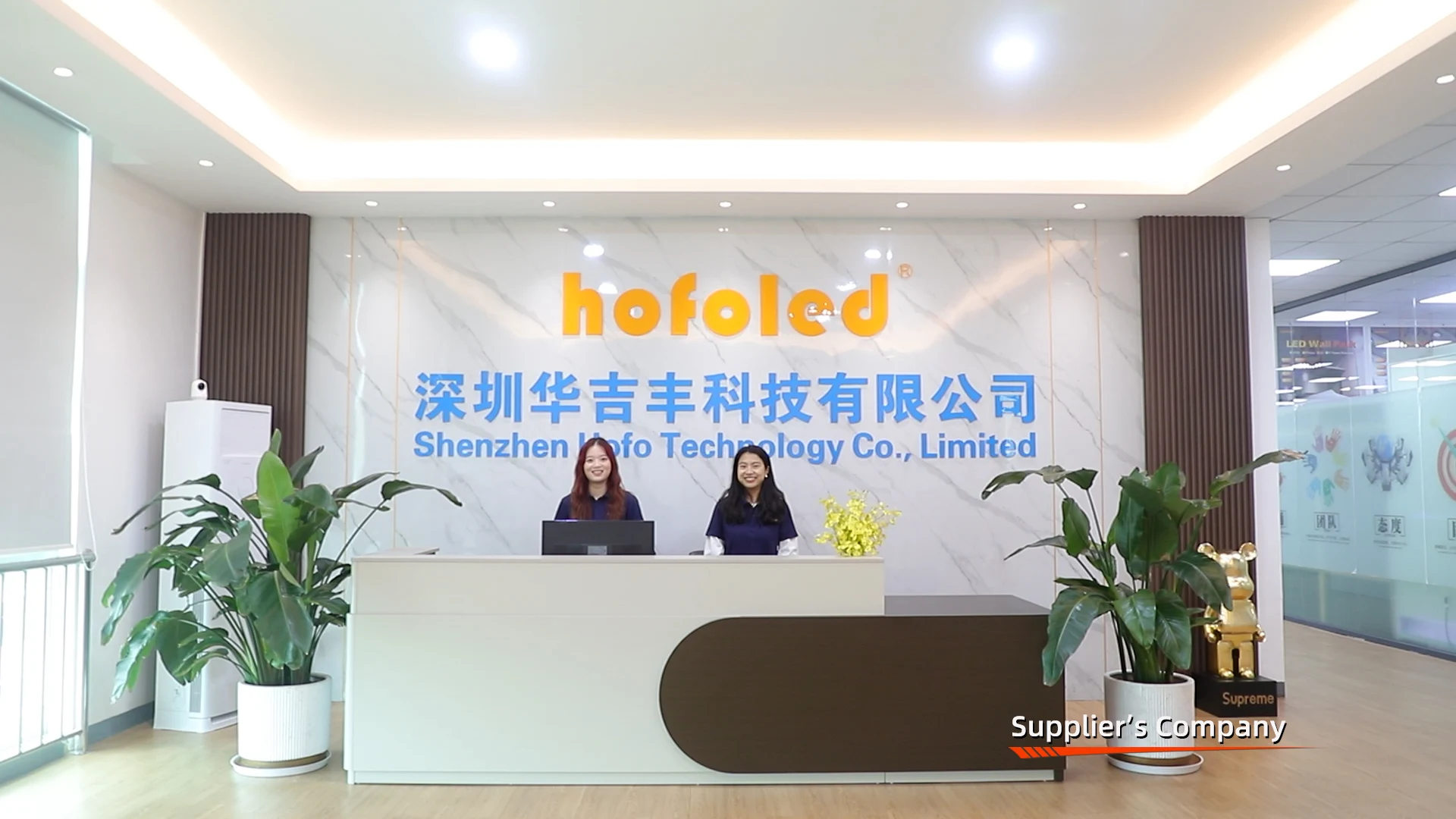 Shenzhen Hofo Technology Co., Limited Solar Street Lights