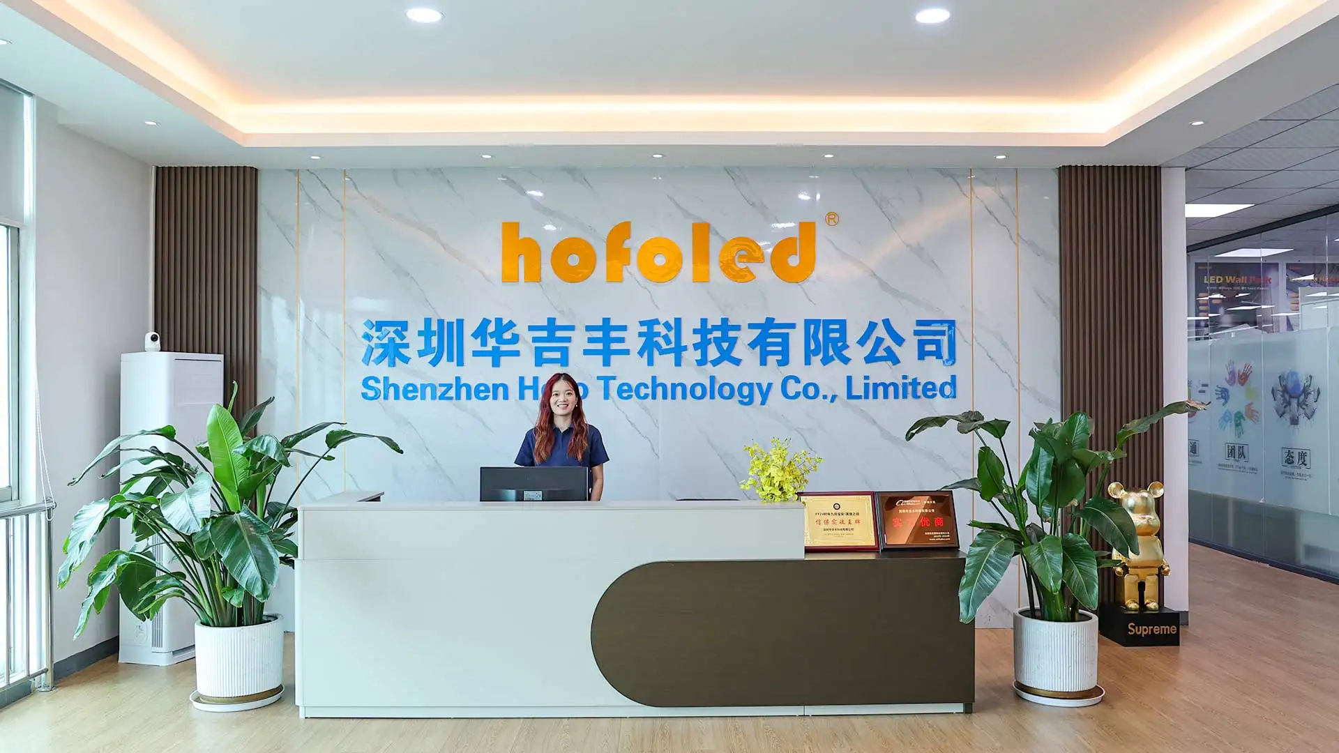 Shenzhen Hofo Technology Co., Limited LED Street Lights