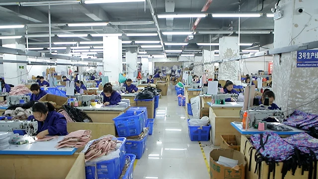 Yiwu Wenjie Bags Co., Ltd. Cosmetic Bag